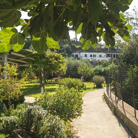 Park Victoria Hotel Forio (Isola d'Ischia)